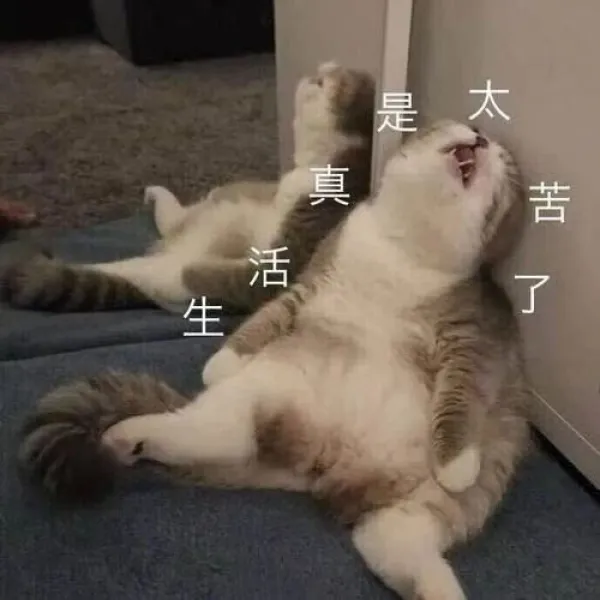 说说：我真是太难了~
